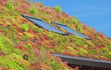 Stradishall living roof systems